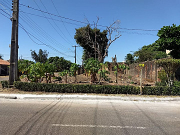 terreno